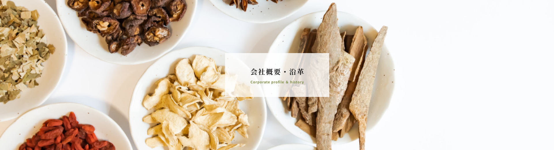 会社概要・沿革